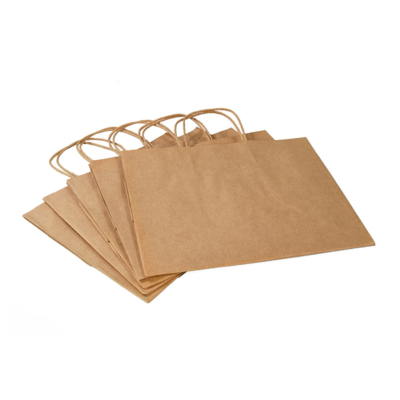 Factory Price Custom With Printing Logo Eco-friendly Bio-degradable Recycle Handle Paper Bag 