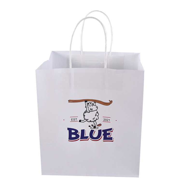 Manufacturer Custom Reusable Luxury Retail Bag with Logo And Handles Shopping Paper Bag