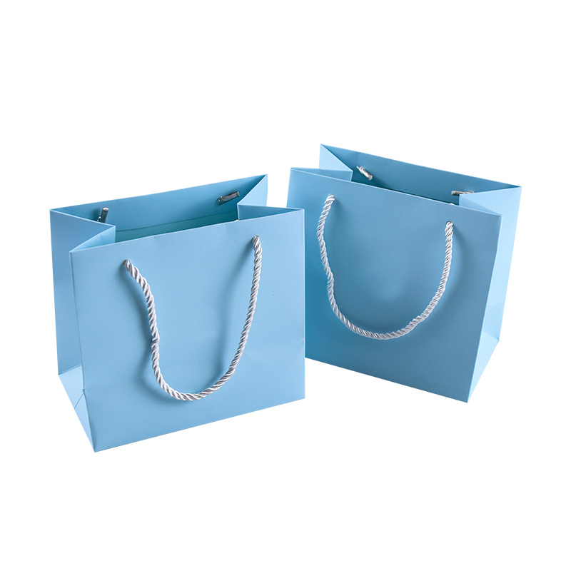 Wholesale Free Design Paper Bag Gift Paper Bag Pretty Paper Bag With Ribbon Handle