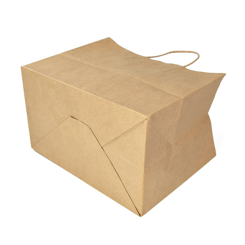Factory Price Custom With Printing Logo Eco-friendly Bio-degradable Recycle Handle Paper Bag 