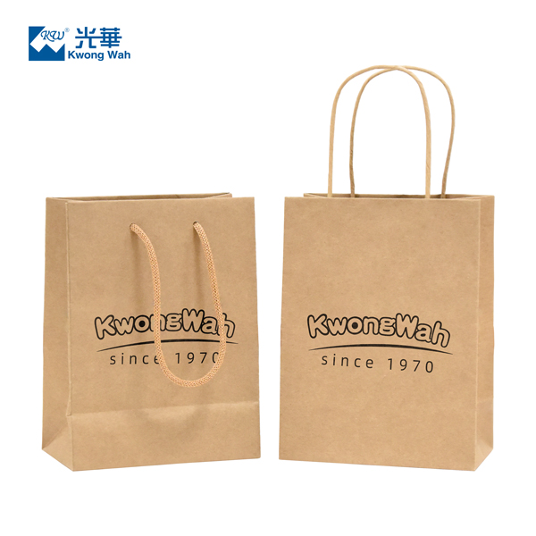 Recyclable Kraft Paper Bag with Twist Handle Reusable Shopping Paper Bag Logo Printing Brown Packaging Bag